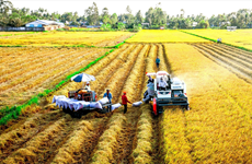 Agricultura de Vietnam por atraer IED multimillonaria para 2030
