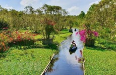 Localidad vietnamita empeñada en convertirse en destino turístico atractivo