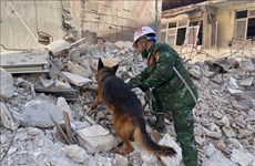 Fuerzas vietnamitas siguen esfuerzos en rescate de víctimas del terremoto en Turquía 