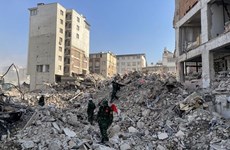 Socorristas vietnamitas siguen localizando otras víctimas de terremoto en Turquía