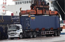 Exportaciones tailandesas enfrentan desafíos en medio de reapertura de China