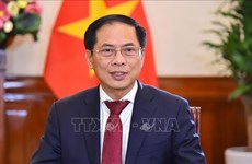 Buscan promover cooperación entre localidades vietnamitas y provincia china de Hainan
