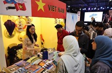  Divulgan imágenes de Vietnam en Festival de Cultura en Egipto