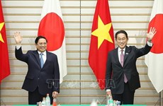 Japón siempre es uno de mayores socios estratégicos de Vietnam