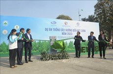 Hanoi inicia proyecto de plantación de árboles hacia cero emisiones netas