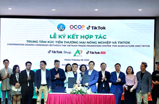 Impulsan transformación digital en comercio de OCOP de Vietnam