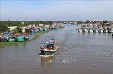 Provincia vietnamita fomenta lucha contra la pesca ilegal
