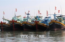 Provincia vietnamita fomenta medidas para luchar contra pesca ilegal