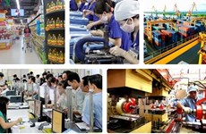 Cantidad de empresas nuevas establecidas en Vietnam disminuye 18,3 por ciento