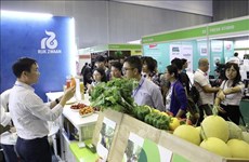 Inauguran exposición del sector hortofrutícola de Vietnam