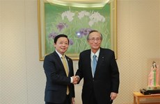 Vietnam y Japón impulsan cooperación en energía y reducción de emisiones 
