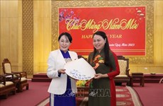 Provincia vietnamita de Ninh Binh desea fortalecer cooperación con localidades japonesas