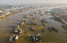 Ciudad vietnamita de Can Tho se esfuerza por recibir 5,2 millones de turistas