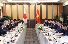 Alientan a empresas japonesas a intensificar inversiones en Vietnam