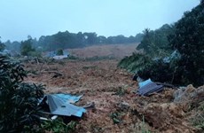 Indonesia: Al menos 10 muertos en deslizamiento de tierra 