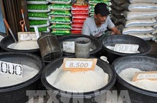 Indonesia enfrentará déficit de arroz en 2023