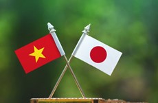 Japón respalda proyectos de educación y salud en Vietnam 