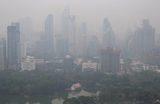 Numerosas provincias tailandesas sufren niveles peligrosos de polvo fino