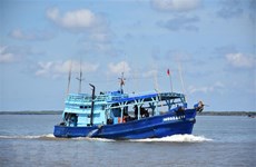 Provincia vietnamita de Quang Tri busca garantizar pesca legal 