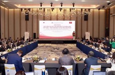 Provincia vietnamita busca agilizar atracción de inversión japonesa