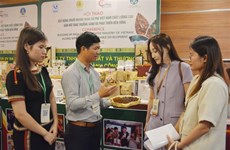 Vietnam por crear cadena de valor del café de alta calidad