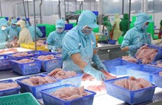 Exportaciones de pescado Tra de Vietnam se recuperarán en tercer trimestre 2023
