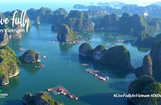 Sitio web de promoción turística de Vietnam sigue con calificaciones regionales