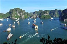 Quang Ninh promueve la explotación de rutas turísticas en Bahía de Bai Tu Long