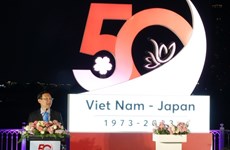 Ciudad Ho Chi Minh: cientos de miles de luces LED iluminan relaciones Vietnam-Japón