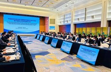 Vietnam y China impulsan cooperación en reforma y desarrollo de empresas estatales 