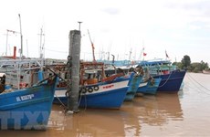 Bac Lieu despliega medidas drásticas para combatir la pesca ilegal
