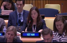 Vietnam destaca importante papel de seguridad hídrica en reunión de ONU