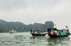 Ciudad de Ha Long se esfuerza por reducir contaminación marina