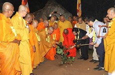 Plantan retoño del árbol Bodhi más longevo del mundo en pagoda de Bai Dinh