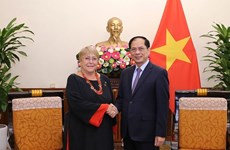 Vietnam valora su asociación integral con Chile, afirma canciller