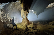 Descubren otras cinco cuevas en provincia vietnamita de Quang Binh