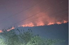 Incendios forestales y contaminación del aire alcanzan nivel de peligro en Laos