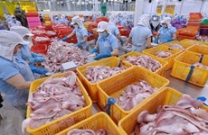 Comercio del primer trimestre de productos agroforestales-pesqueros supera 20 mil millones de dólares