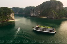 Lonely Planet presenta cinco mejores experiencias en Vietnam