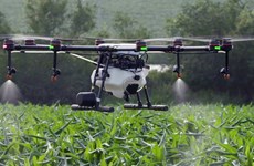 Hanoi fomenta uso de drones al servicio de producción agrícola