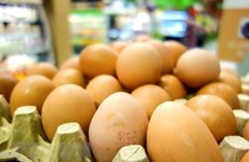 Indonesia exportará huevos a Singapur