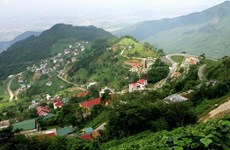 Turismo de provincia vietnamita alcanza logros alentadores en tres meses