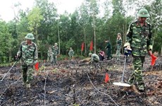 Vietnam se esfuerza por desactivar bombas y minas para servir a bienestar social
