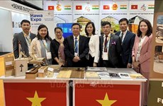 Seminario para actualizar a empresas vietnamitas sobre nueva política de comercio exterior de India