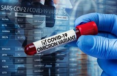 Registran aumento de casos de variante Omicron de COVID-19 en Vietnam