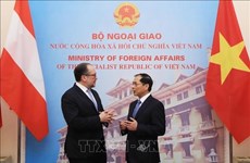 Vietnam y Austria fortalecen nexos de cooperación 
