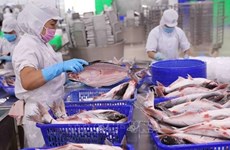 Australia, sexto mayor mercado receptor de productos marítimos de Vietnam