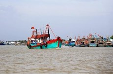 Vietnam trabaja por promover consumo de bienes agrícolas y lucha contra pesca ilegal