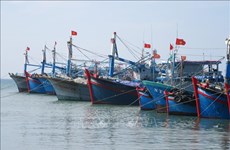 Provincia vietnamita alcanza logros positivos en lucha contra IUU