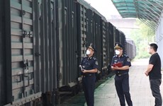 Revelan planes de red ferroviaria en Vietnam